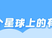 甘肃嘉峪关古长城惊现乐高艺术，德国艺术家Jan创意修补历史遗迹