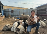 如何及时发现母羊生病？四个简单判断方法助你养羊无忧