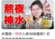 今夏爆火的一整根人参水，为何难获消费者复购？