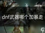 DNF 中加暴走的武器有哪些？巨剑与拳套系列是首选？