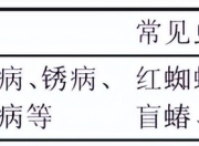 #文章首发挑战赛#樱桃常见病虫害有哪些？防治措施探讨