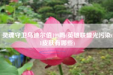 灵魂守卫乌迪尔值199吗(英雄联盟光污染t1皮肤有哪些)
