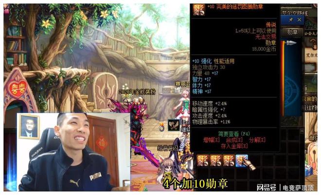 dnf勋章强化概率表_dnf勋章强化11的有吗_dnf勋章强化有什么用