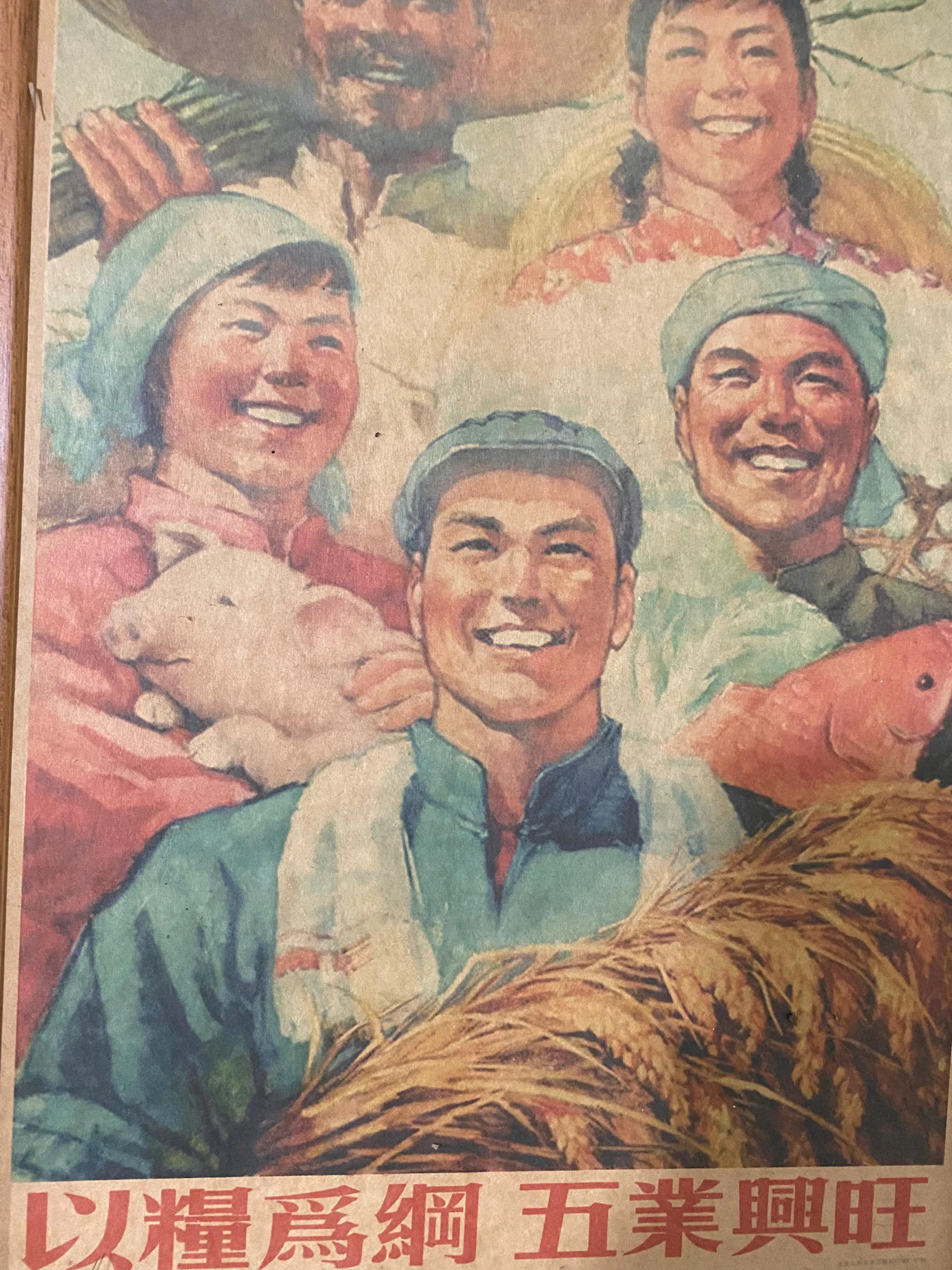 活砍羊脑袋视频_砍活羊头视频_杀羊一刀断头视频
