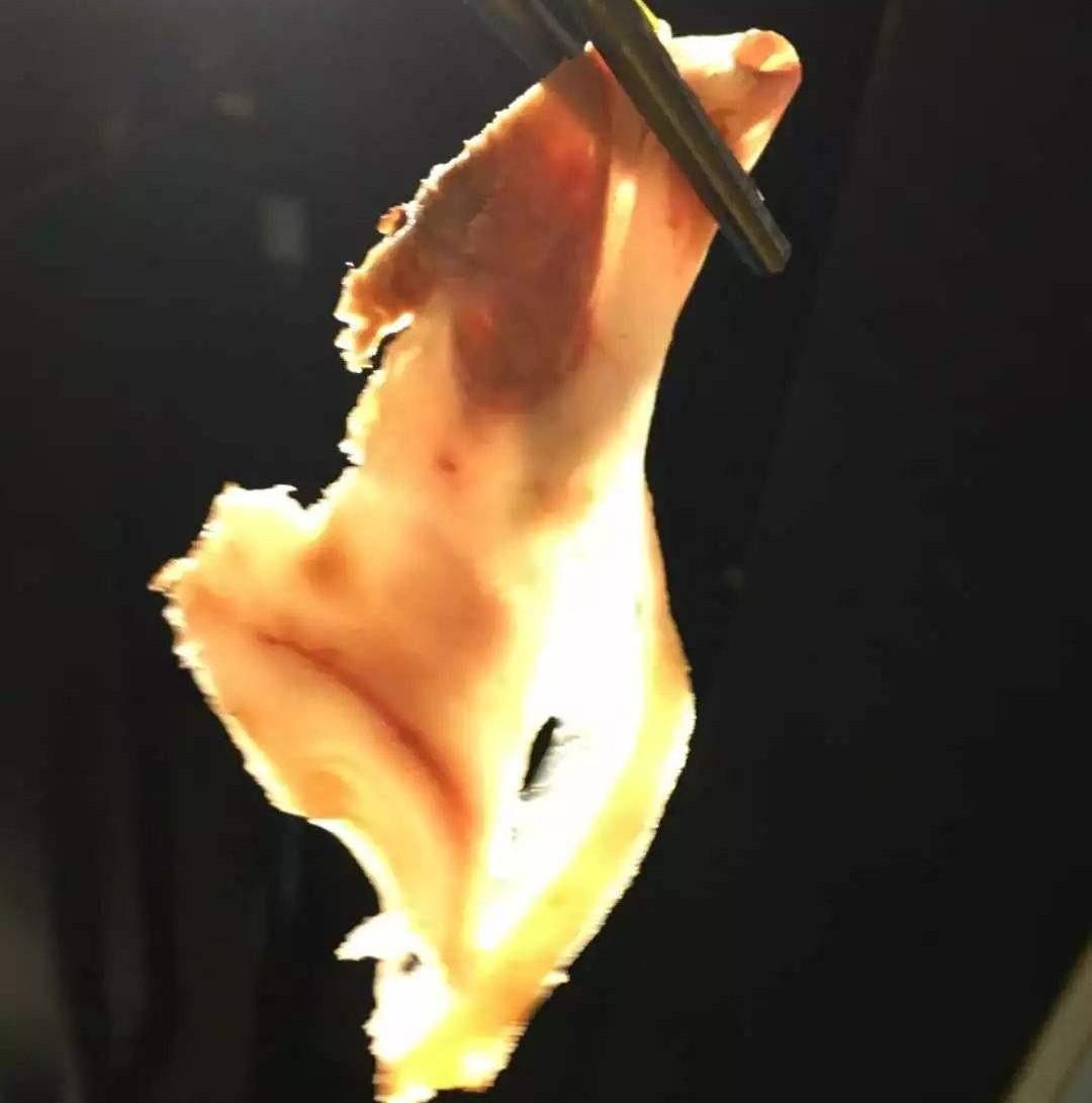 砍活羊头视频_活砍羊脑袋视频_活割羊头视频