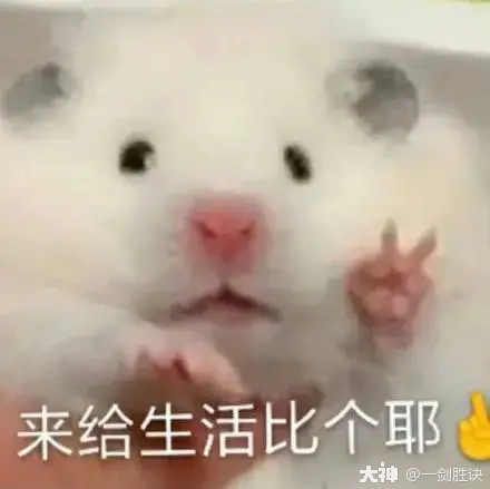 大神_游戏热爱者兴趣圈_游戏社区