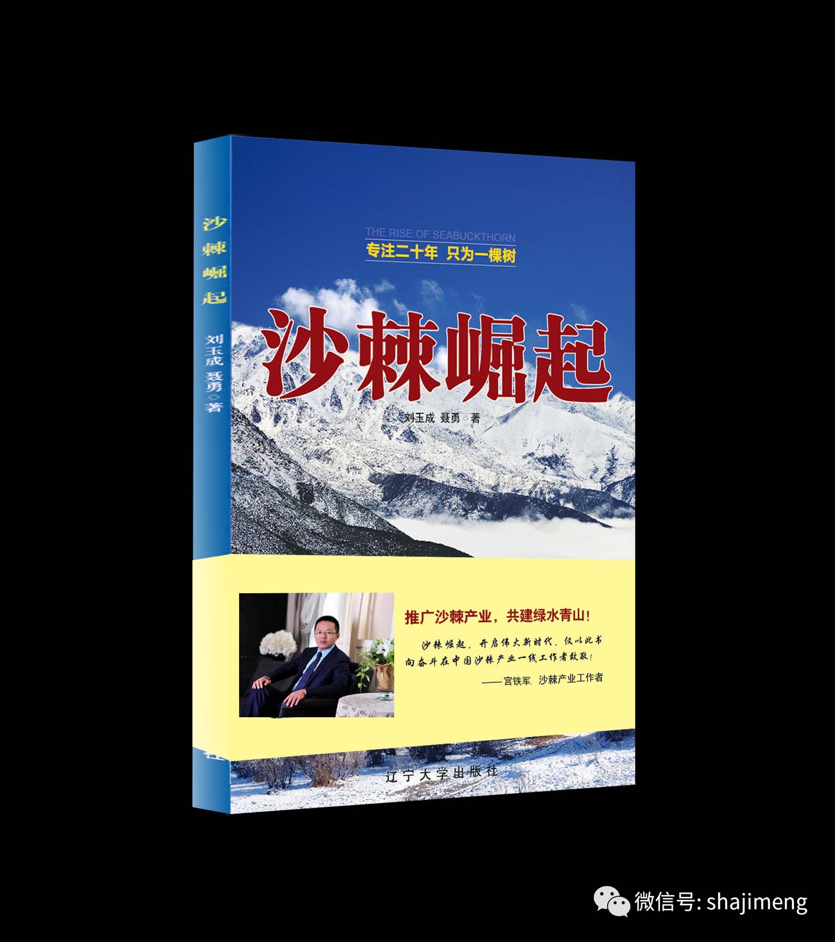 风暴之灵_风暴灵蝶万磁王_风暴灵魂