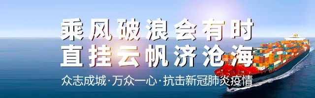 风暴灵域乡下的猫_风暴之灵_风暴灵蝶万磁王
