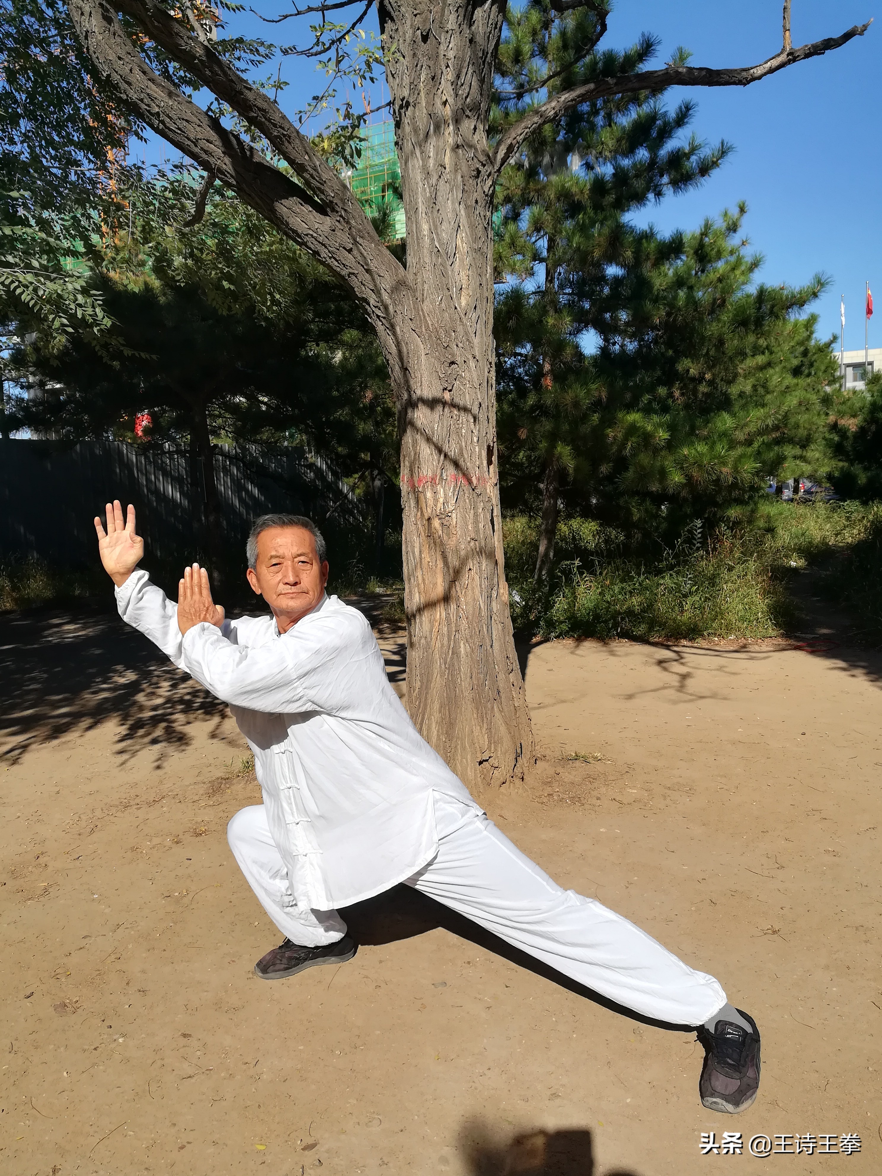 五虎断门刀法_五虎断门刀招式_断刀法门五虎上将是谁