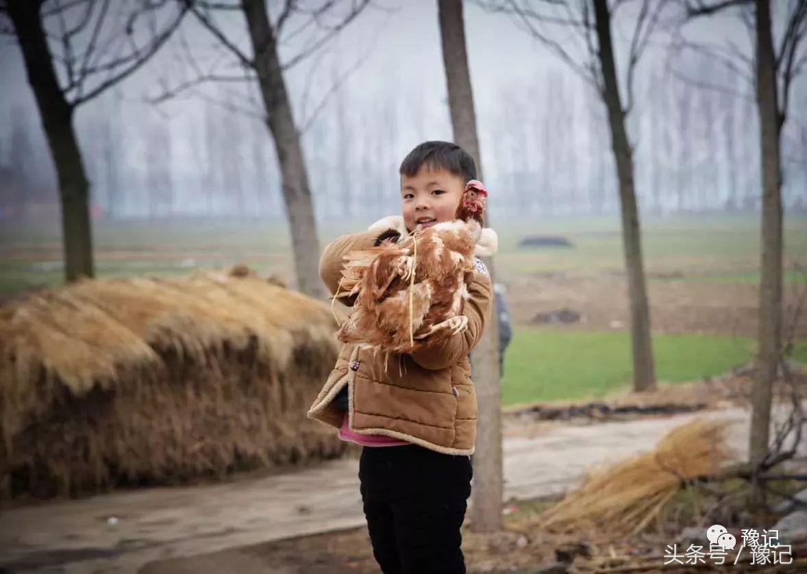 老婆在家杀鸡杀鸭_新媳妇杀鸡_小媳妇杀公鸡