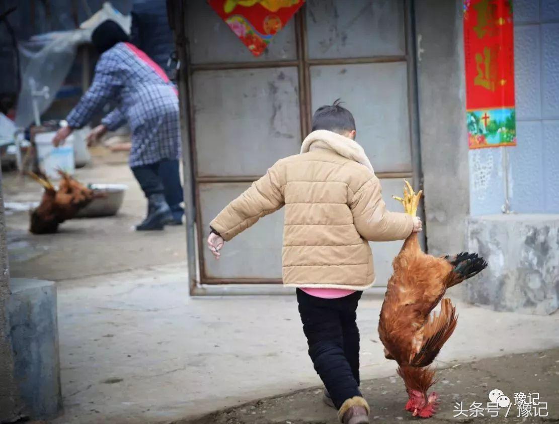 新媳妇杀鸡_老婆在家杀鸡杀鸭_小媳妇杀公鸡
