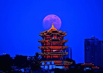 天涯明月刀隐藏灵犀点_天涯明月刀灵犀点是什么意思_天刀灵犀引