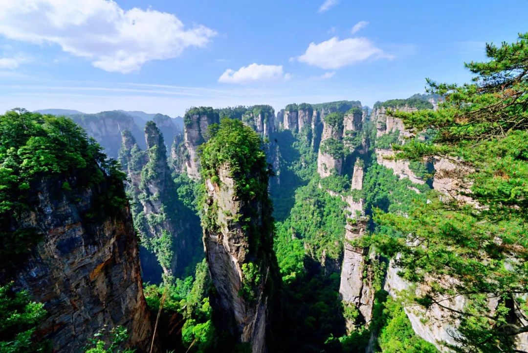 大地灵契怎么获得_龙族大地与山之王言灵_680 大地之灵