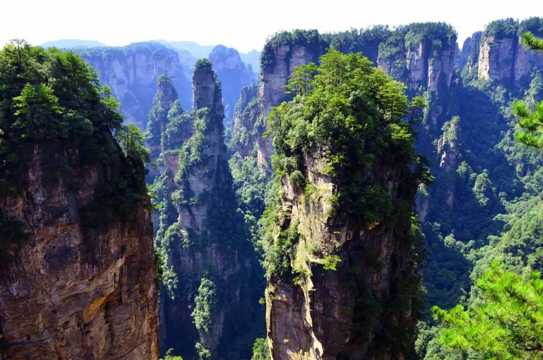 大地灵契怎么获得_龙族大地与山之王言灵_680 大地之灵