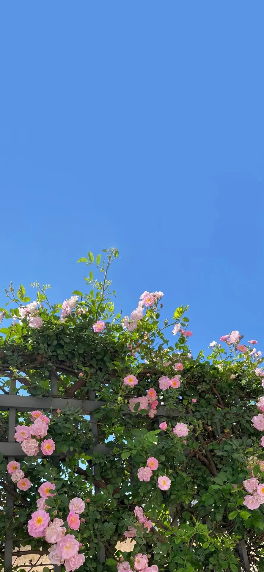风暴之灵头像_风暴英雄手机壁纸_风暴之灵手机壁纸