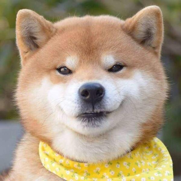大天使圣光印记_天使圣光印记大全图片_圣光天使能打多少关