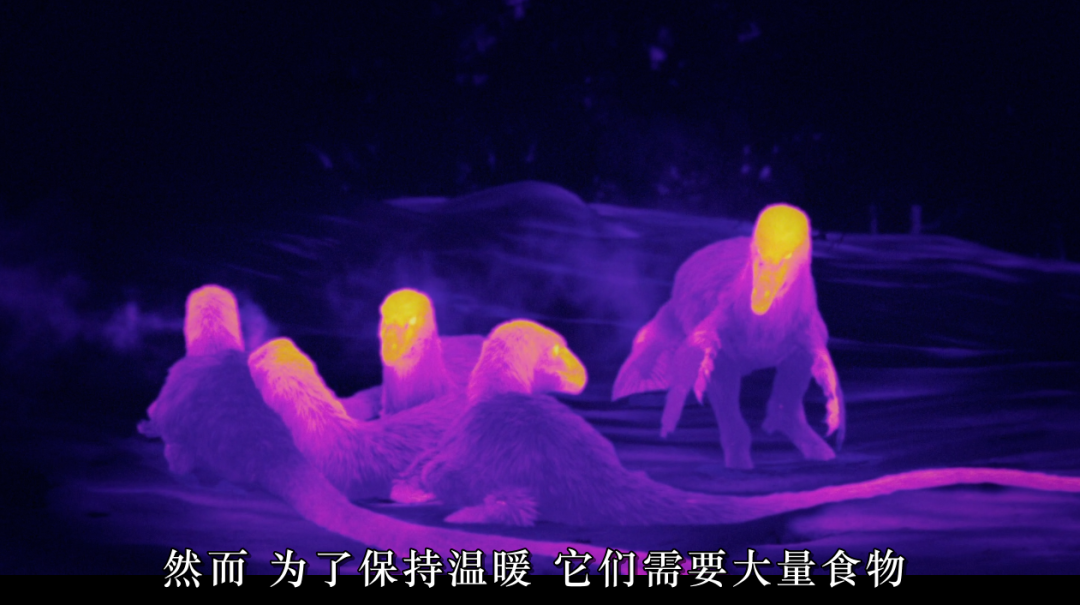 黑暗骑士版蝙蝠侠_蝙蝠侠:黑暗骑士西瓜_蝙蝠侠黑暗骑士琪琪网