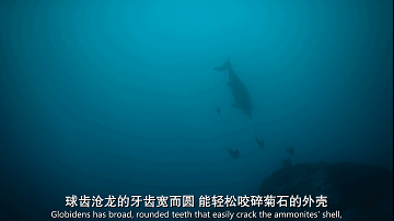 蝙蝠侠:黑暗骑士西瓜_黑暗骑士版蝙蝠侠_蝙蝠侠黑暗骑士琪琪网