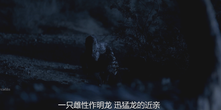 蝙蝠侠:黑暗骑士西瓜_蝙蝠侠黑暗骑士琪琪网_黑暗骑士版蝙蝠侠