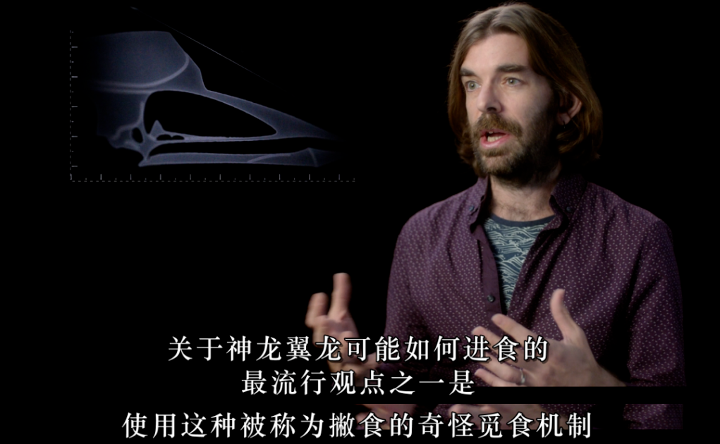 蝙蝠侠黑暗骑士琪琪网_蝙蝠侠:黑暗骑士西瓜_黑暗骑士版蝙蝠侠