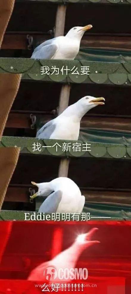 蝙蝠侠:黑暗骑士西瓜_黑暗骑士版蝙蝠侠_我想看电影蝙蝠侠黑暗骑士