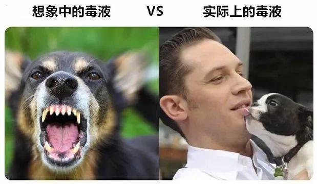 黑暗骑士版蝙蝠侠_我想看电影蝙蝠侠黑暗骑士_蝙蝠侠:黑暗骑士西瓜