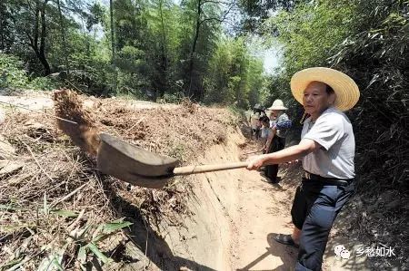 水人八斤_水人参_水人卡组