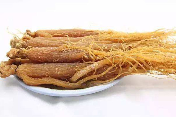 人参煮水功效与作用_人参煮水制作方法_水人参