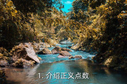 1. 介绍正义点数